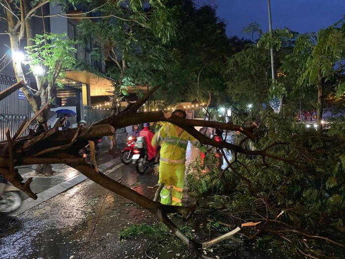 Hà Nội: Mưa lớn kèm gió giật, cây xanh đổ trúng 2 phụ nữ
