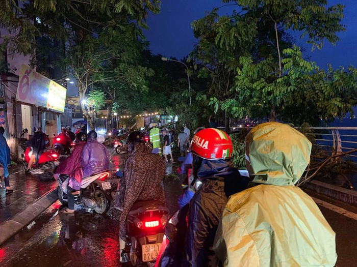 Hà Nội: Mưa lớn kèm gió giật, cây xanh đổ trúng 2 phụ nữ