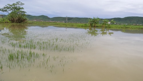 Một ngày hai cháu bé tử vong do đuối nước