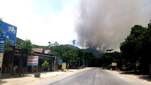 Rừng ở Hà Tĩnh tiếp tục cháy, huy động hàng trăm người dập lửa