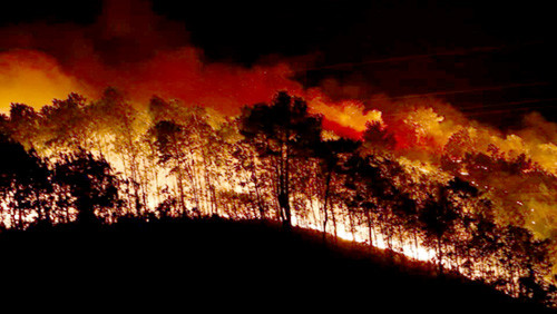 Rừng Hương Sơn bùng cháy dữ dội, người dân sơ tán trong đêm
