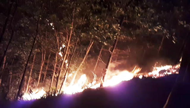 24 giờ nỗ lực dập tắt vụ cháy rừng ở Quảng Nam