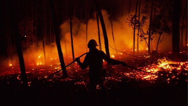 Bồ Đào Nha: Cháy rừng lớn bùng phát làm ít nhất 20 người bị thương