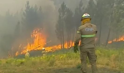 Bồ Đào Nha: Cháy rừng lớn bùng phát làm ít nhất 20 người bị thương