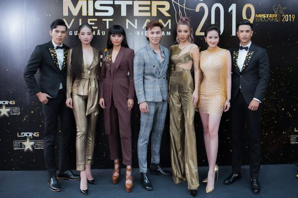 Ẩn số Trương Ngọc Ánh tại Mister Việt Nam 2019