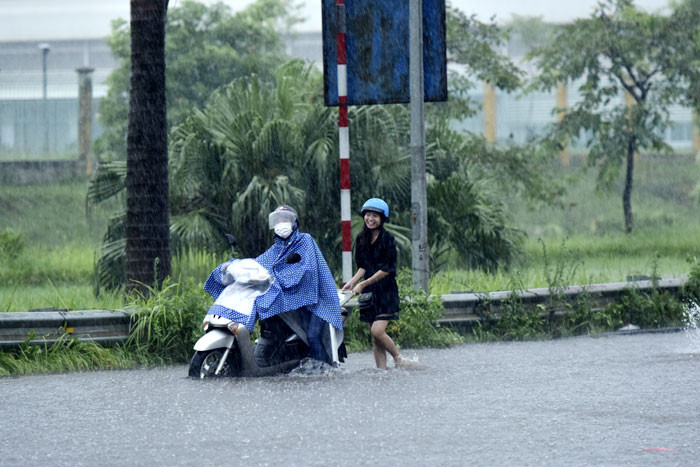 Hà Nội mưa lớn, cây đổ la liệt do ảnh hưởng bão số 3