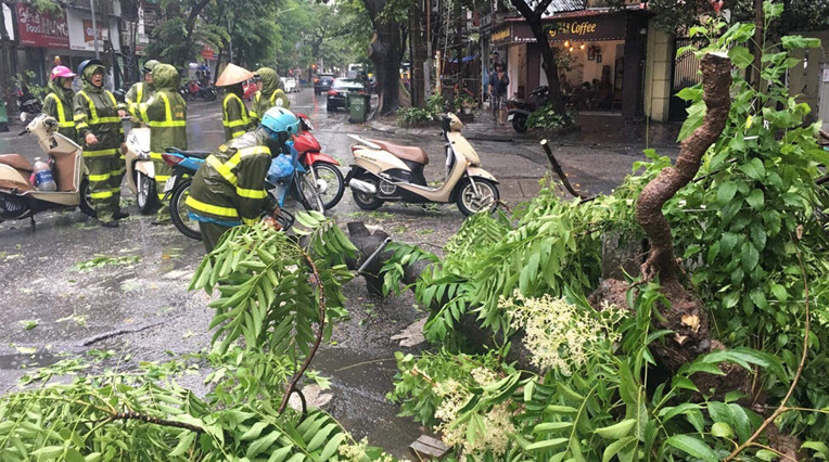 Hà Nội mưa lớn, cây đổ la liệt do ảnh hưởng bão số 3