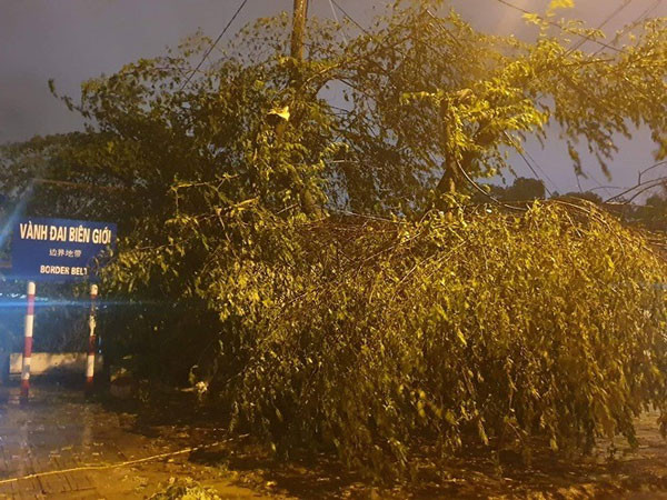 Quảng Ninh: Nước sông Ka Long dâng cao, cây cối ngổn ngang sau đêm bão số 3 đổ bộ