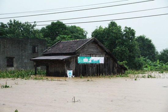 Đắk Lắk: Mưa lớn làm 1 người chết và hàng trăm ngôi nhà bị ngập