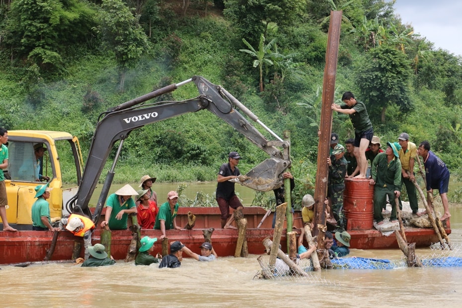 Vỡ đê khiến hơn 1.000ha lúa sắp thu hoạch chìm trong biển nước