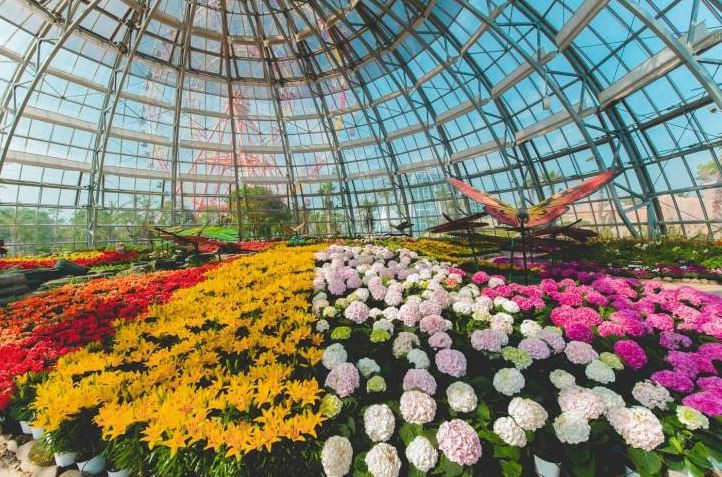 Khám phá khu vườn “kỳ hoa dị thảo” trên đảo kỷ lục tại Nha Trang