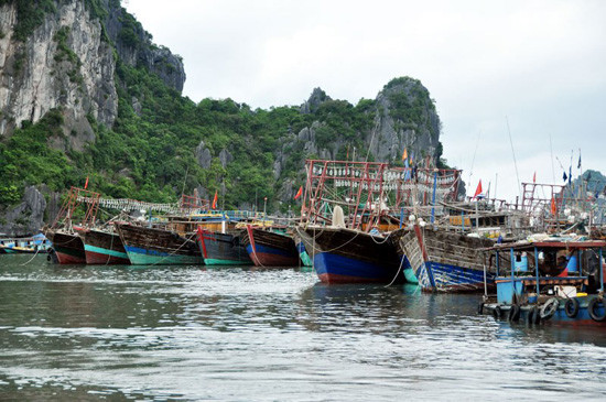 Quảng Ninh cấp 7.000 giấy phép khai thác  thuỷ sản cho các tàu cá