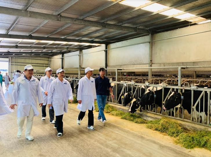Vinamilk tham gia xây dựng vùng chăn nuôi bò sữa an toàn dịch bệnh theo quy định tổ chức thú y thế giới
