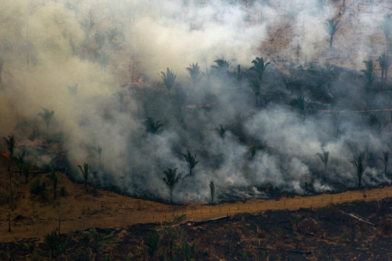 Quân đội Brazil chiến đấu dập lửa ở rừng Amazon