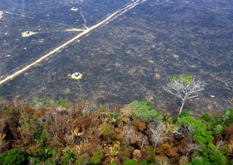 Quân đội Brazil chiến đấu dập lửa ở rừng Amazon