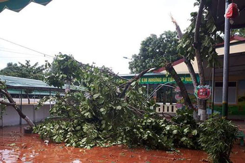 Một số thiệt hại ban đầu sau bão số 4 ở Nghệ An, Hà Tĩnh