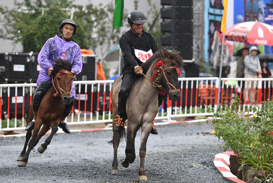 Chất Tây Bắc sống động khiến du khách thích thú với Giải đua ngựa tại Fansipan 