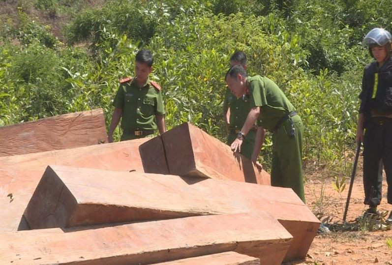 Vụ phá rừng quy mô lớn ở Đắk Lắk: Phát hiện thêm trên 500m3 gỗ