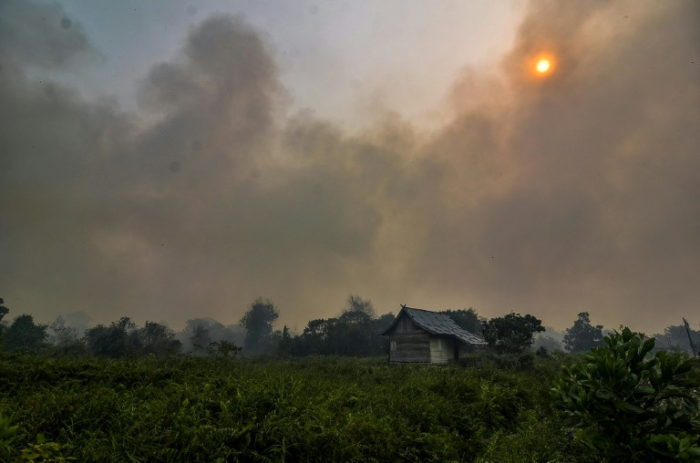 Malaysia, Indonesia đóng cửa hàng ngàn trường học vì cháy rừng