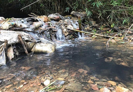 Khởi tố vụ đổ dầu thải làm ô nhiễm nguồn nước ở sông Đà