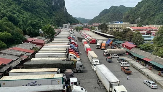 Hàng trăm container chở nông sản tắc ở cửa khẩu Tân Thanh