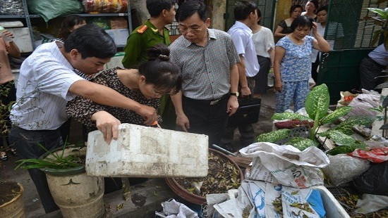 Tăng cường phòng chống sốt xuất huyết Dengue