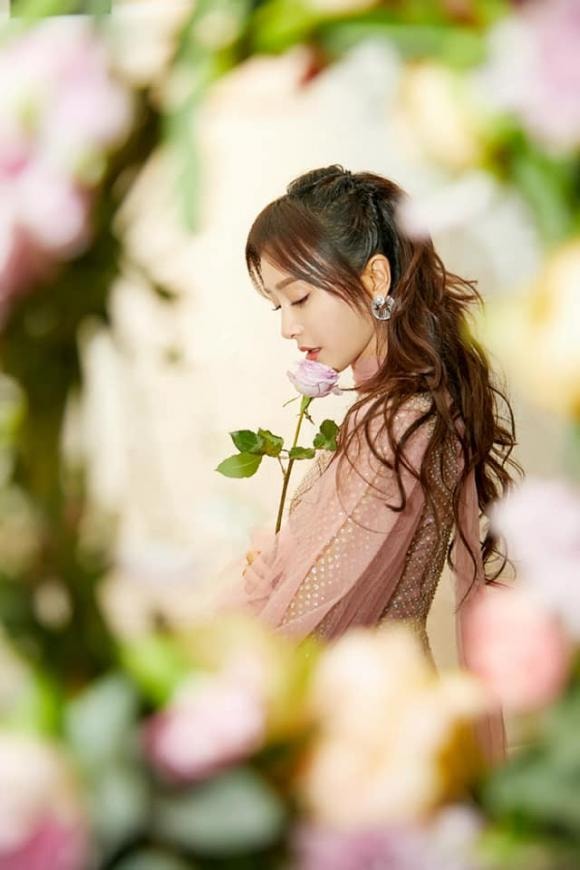 tần lam, công chúa, diên hi công lược, sao hoa ngữ