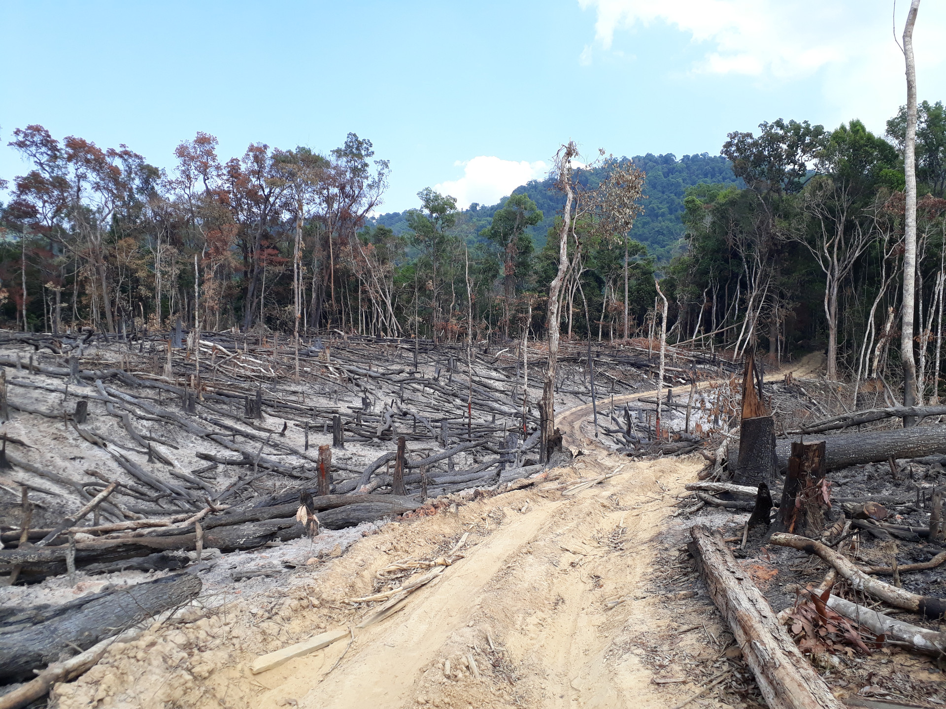 Hàng loạt sai phạm tại Ban Quản lý rừng phòng hộ Ia Rsai