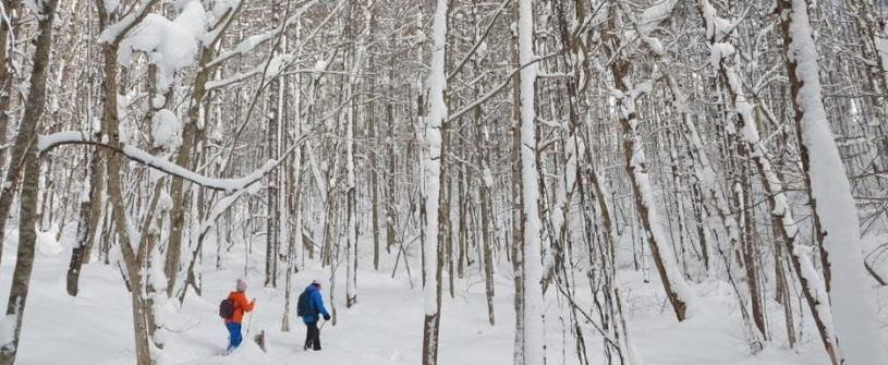 Du lịch Nhật Bản mùa đông: đừng bỏ qua “thiên đường” trượt tuyết Fukushima