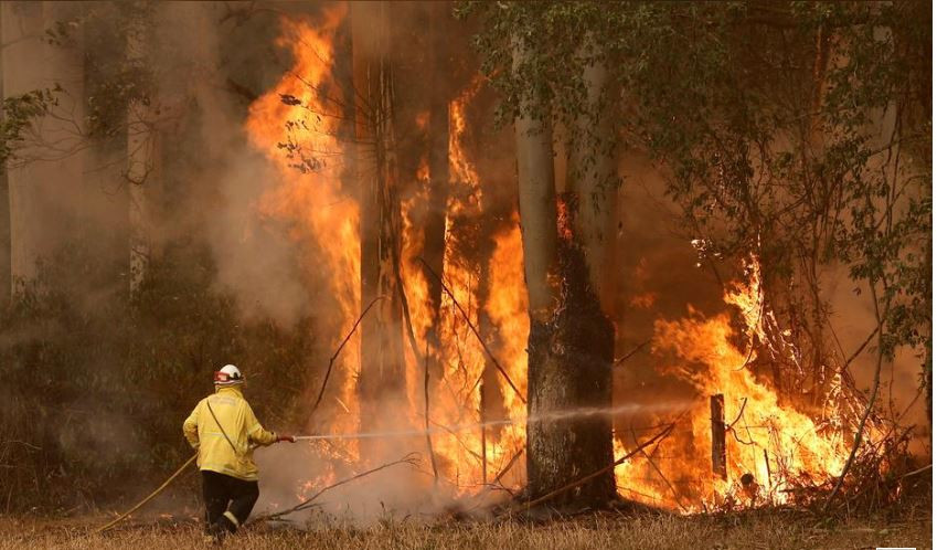 Cháy rừng ở Úc: Quá muộn để di tản, người dân tìm chỗ trú ẩn