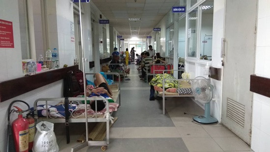 TP Đà Nẵng ghi nhận trên 6.600 ca mắc sốt xuất huyết