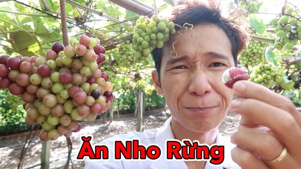 Lâm Vlog là ai  1