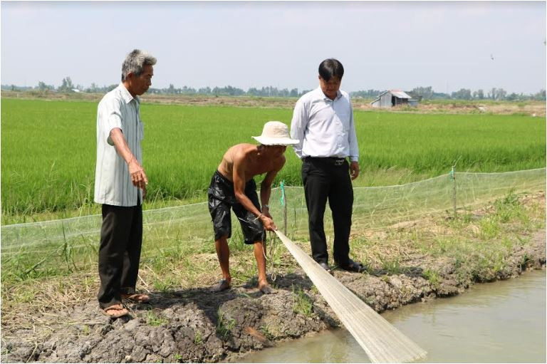 “Con tôm ôm cây lúa” mối lương duyên giúp nông dân thoát nghèo 