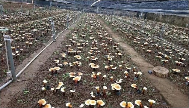 Trường Đại học Hồng Đức đổi mới, nâng cao  chất lượng đào tạo