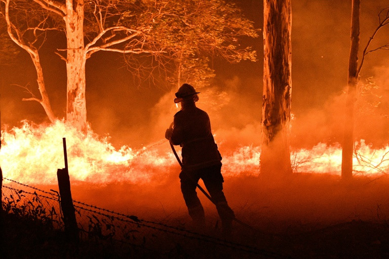 Úc: Thảm họa cháy rừng tàn phá hệ động thực vật