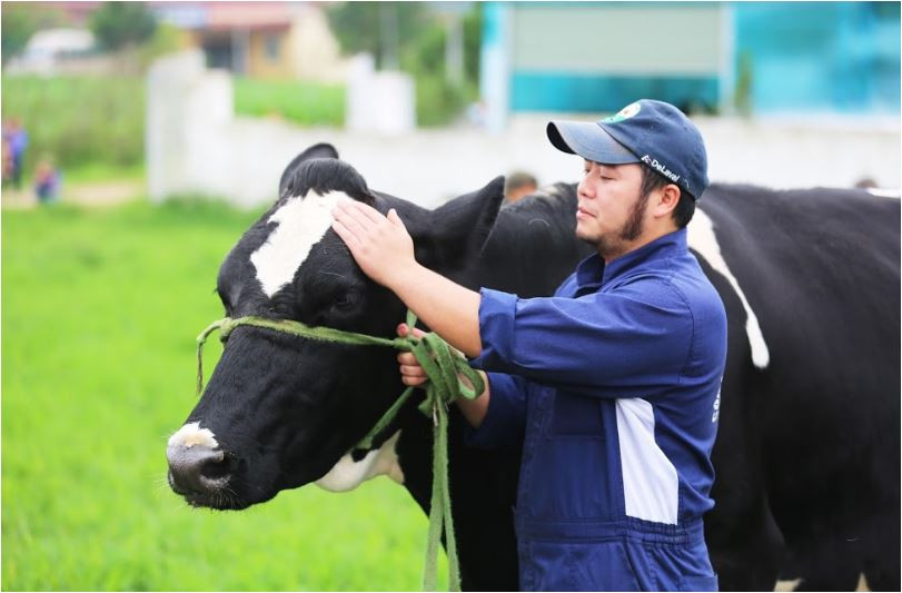Vinamilk & Mộc Châu Milk: “Cái bắt tay” mở ra chương mới cho ngành chăn nuôi bò sữa Việt Nam