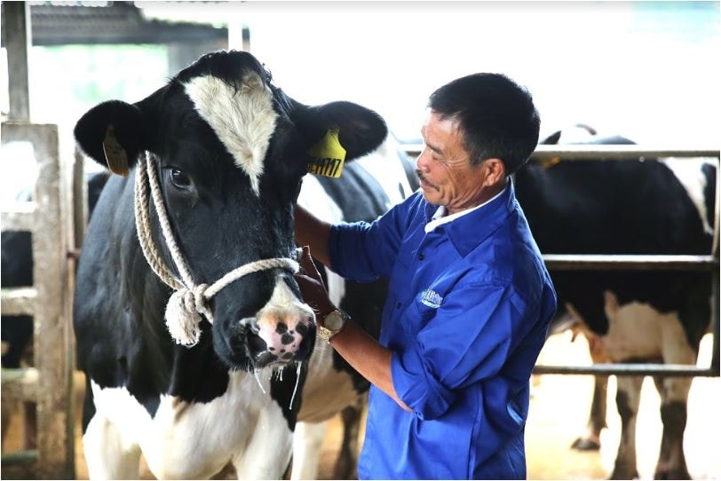 Vinamilk & Mộc Châu Milk: “Cái bắt tay” mở ra chương mới cho ngành chăn nuôi bò sữa Việt Nam