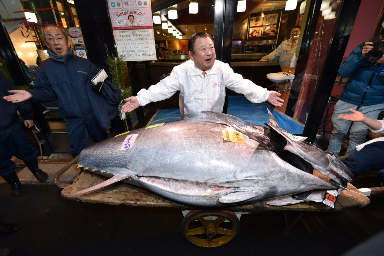 “Vua cá ngừ” Nhật Bản mua sản phẩm khai thác năm mới với giá 1,8 triệu USD