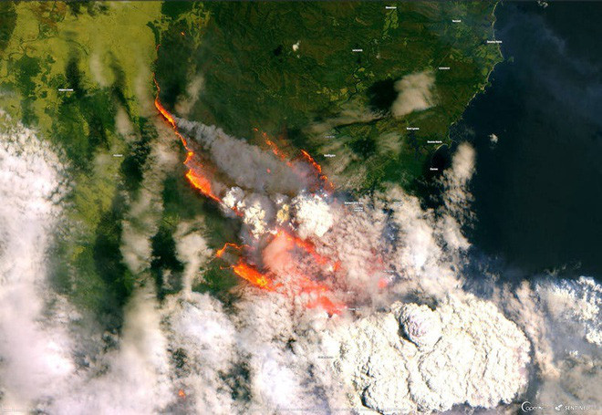Các vụ cháy rừng ở Úc đang tạo nên hệ thống thời tiết riêng
