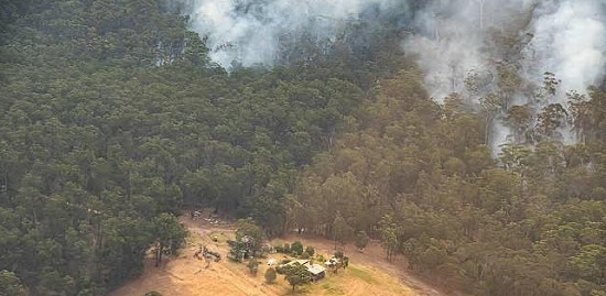 Úc lên phương án phục hồi những khu vục bị ảnh hưởng bởi cháy rừng