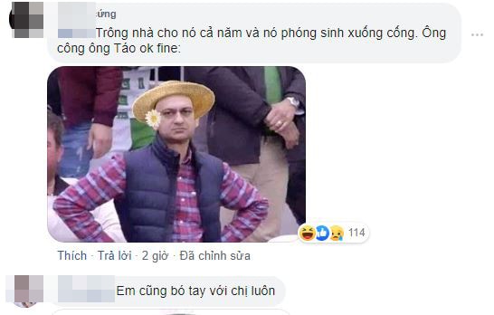 Thả cá phóng sinh xuống cống  2