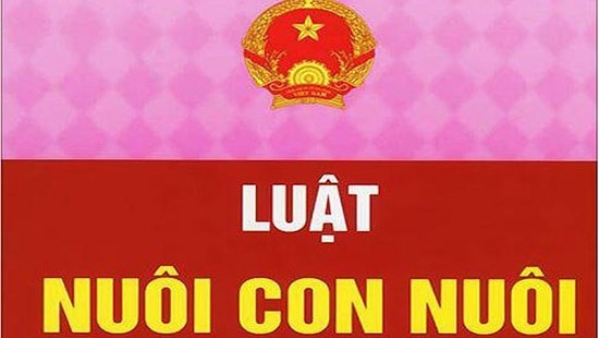 Xin nhận con nuôi, cần phải làm những thủ tục gì?