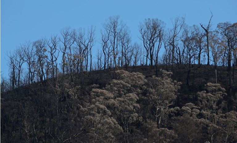 Úc sơ tán một phần thủ đô khi nguy cơ cháy rừng quay trở lại