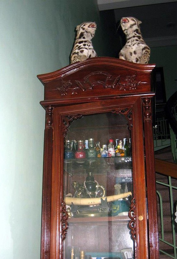 cơ ngơi của nghệ sĩ đóng Táo Quân  2