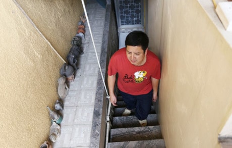 cơ ngơi của nghệ sĩ đóng Táo Quân  0