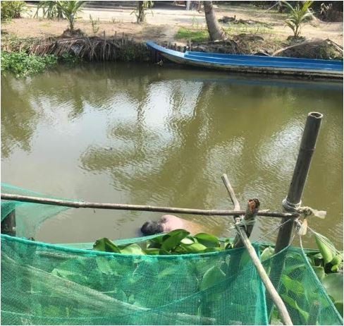 Thông tin chính thức vụ xác chết trôi sông mang quốc tịch Trung Quốc