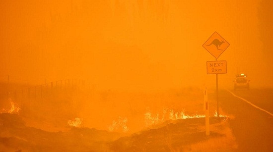 Úc tiến hành cuộc điều tra toàn quốc về vụ cháy rừng lớn vừa qua
