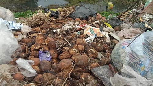 Nghệ An: Kinh hãi bãi rác tự phát gây ô nhiễm tại phường Vinh Tân