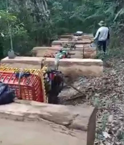 Bắt giữ 11 lâm tặc trong rừng khi đang vận chuyển gỗ lậu