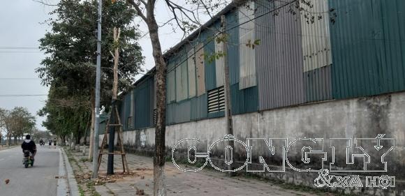 truong-quay-co-loa-w1000-h486.jpg
